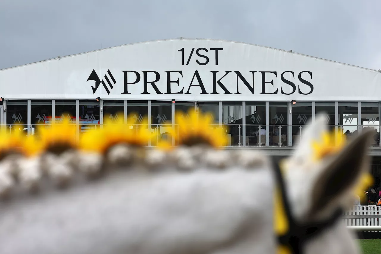 Seize the Grey wins 149th Preakness Stakes in a muddy and thrilling race