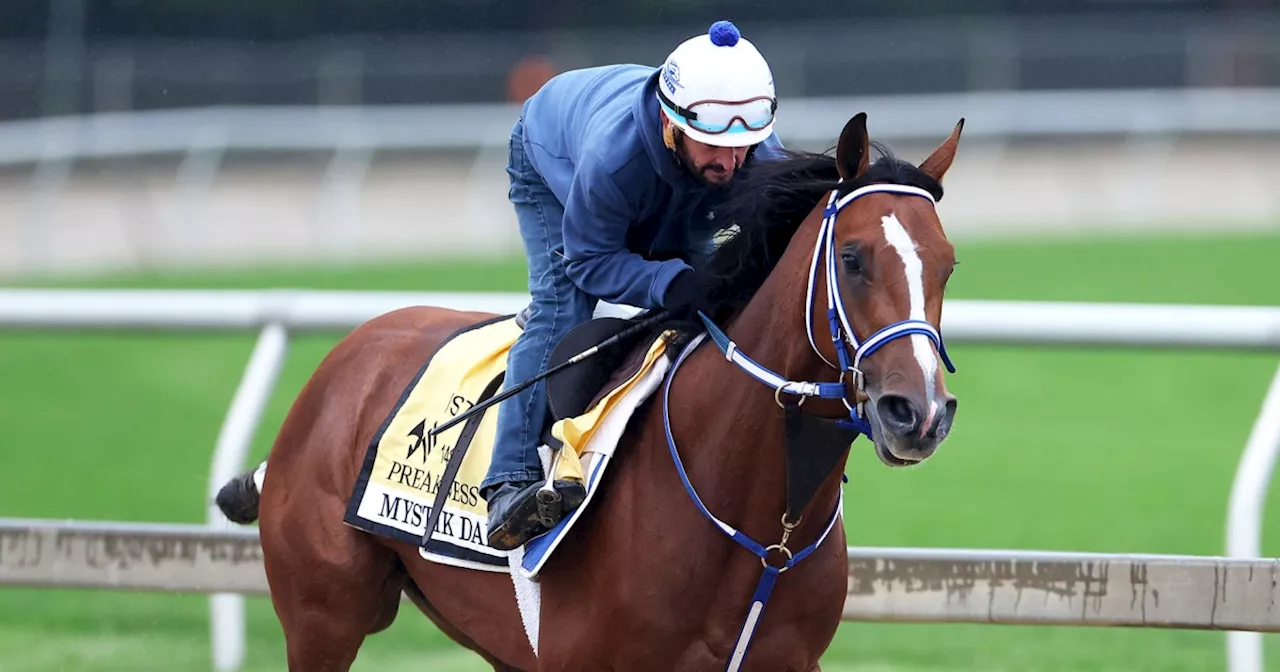 Preakness Stakes 2024 live updates: Post time, how to watch, odds, horses to follow and more