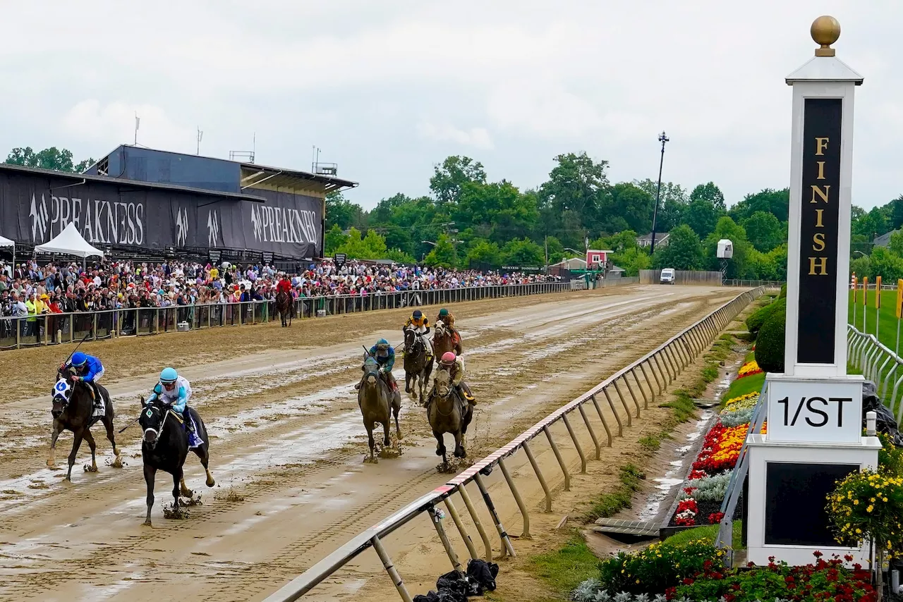 Who won Preakness Stakes 2024? Is Mystik Dan’s Triple Crown bid still alive? Results, payouts, order of finish