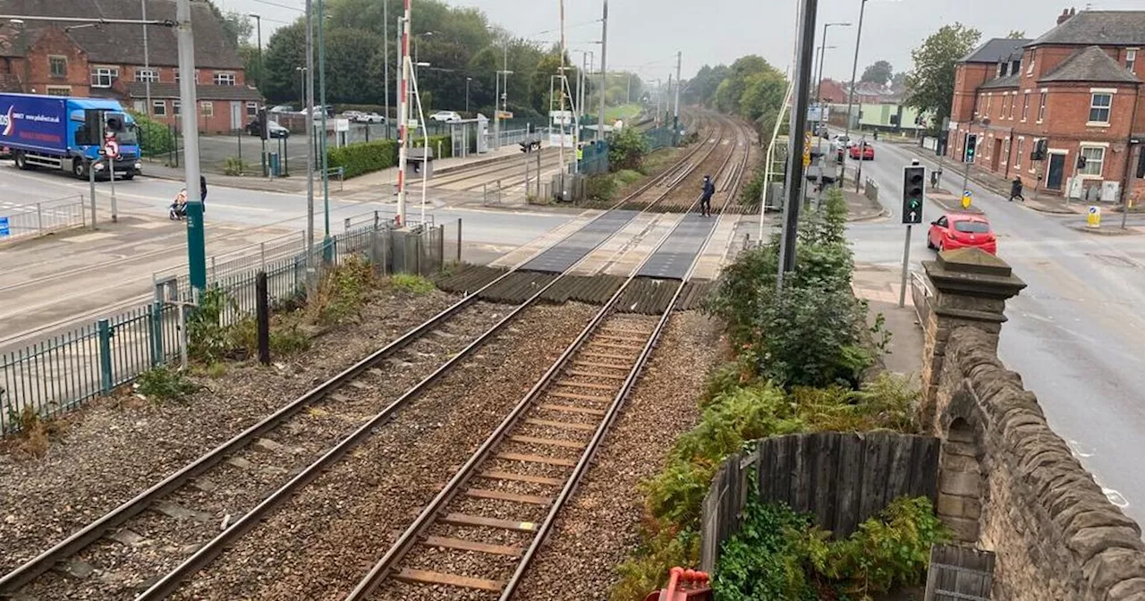 Services disrupted due to major weekend works on the tram line