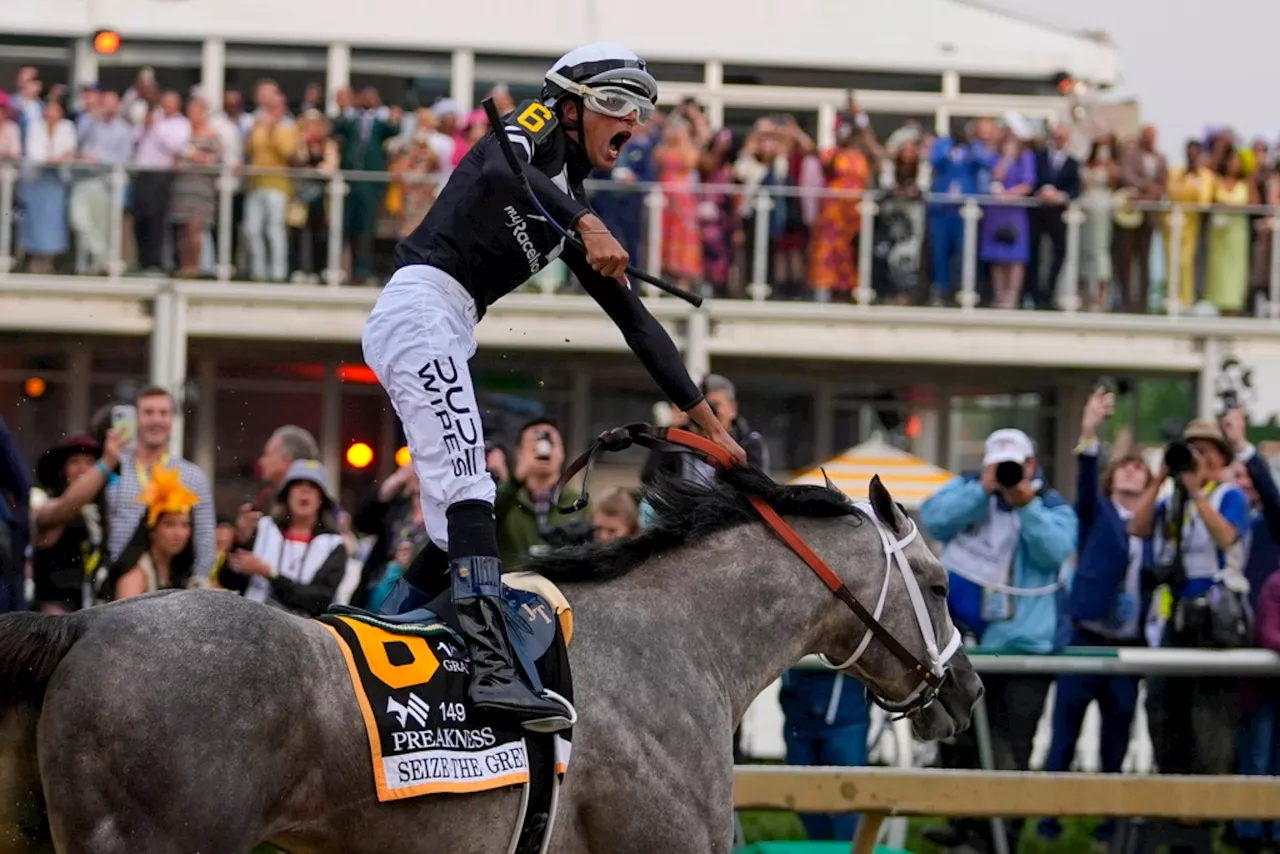 Seize the Grey wins the Preakness, ends Mystik Dan’s Triple Crown bid