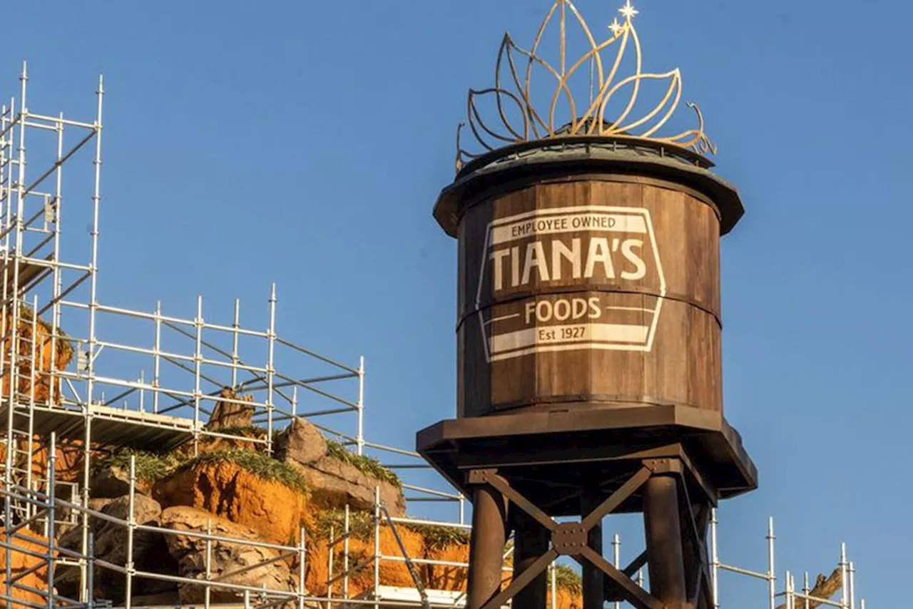 Disney Will Disperse Beignet Smells into the Line for Tiana’s Bayou Adventure