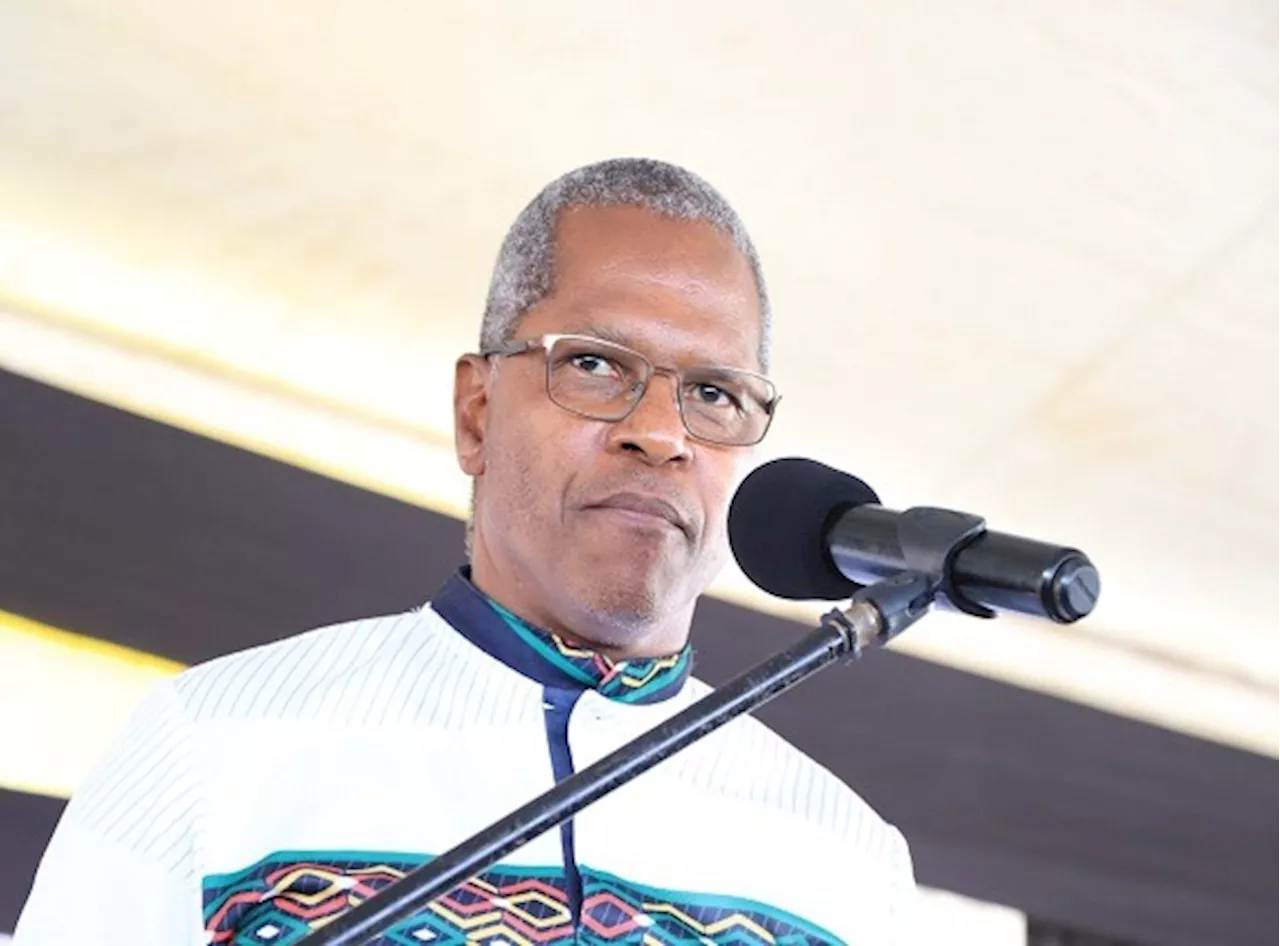 IFP campaigns in Limpopo amid significant growth - SABC News - Breaking news, special reports, world,