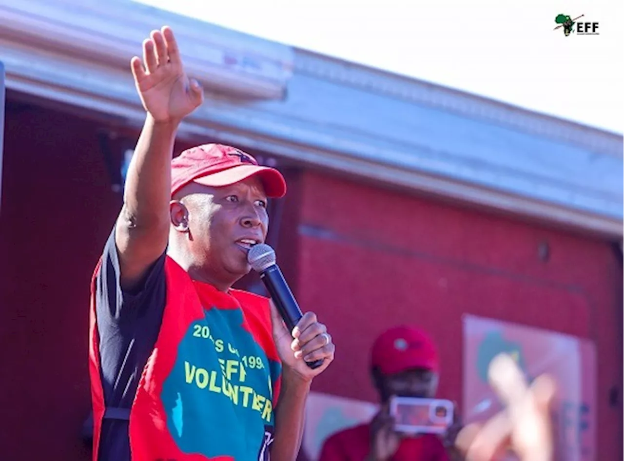 We want a strong police, we don't want cowards, says Malema - SABC News