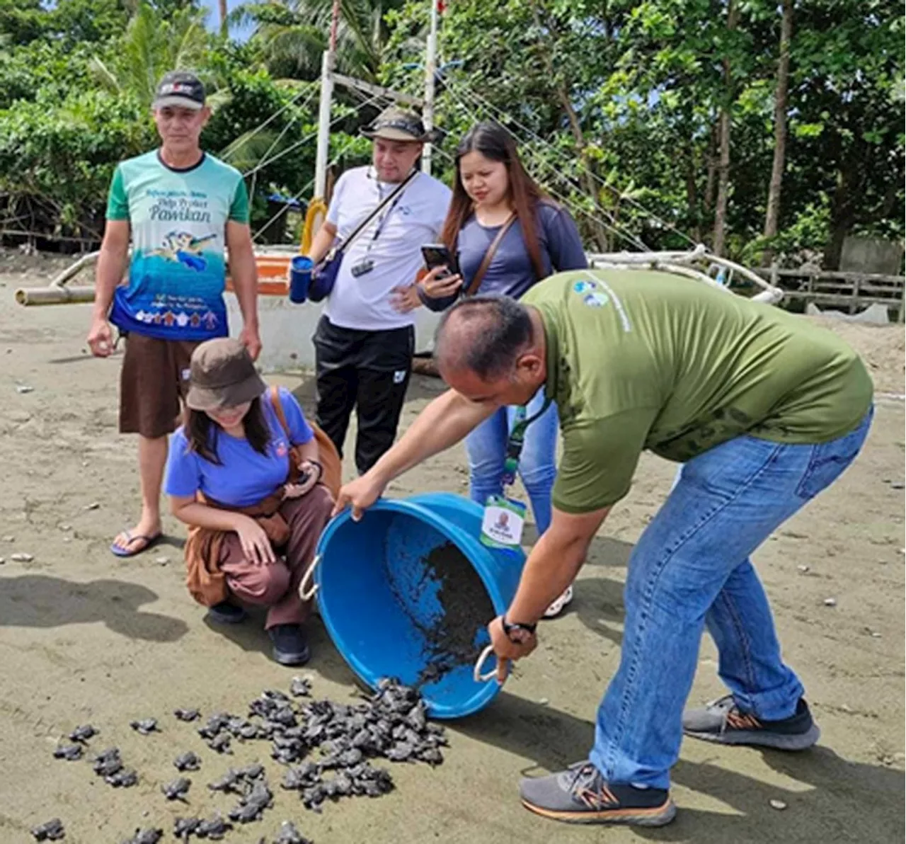 117 turtle hatchlings released in Zamboanga del Norte