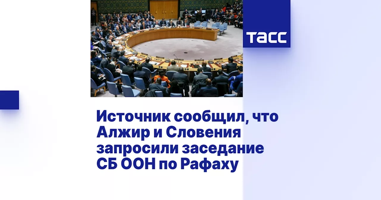 Источник сообщил, что Алжир и Словения запросили заседание СБ ООН по Рафаху