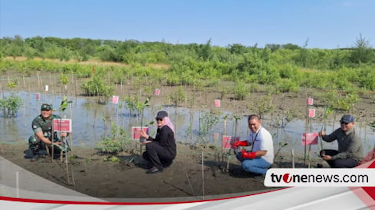 Aksi PNM Peduli Serahkan Sumur Bor Untuk Warga Indramayu Dan Tanam Mangrove Rhizophora