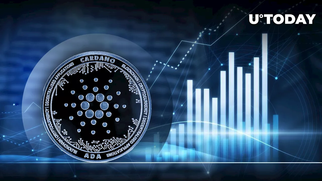 Cardano (ADA) Skyrockets 26% in Volume - What's Happening?