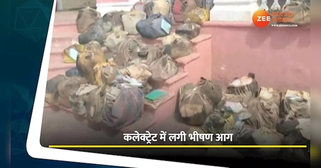 Shivpuri Video: कलक्ट्रेट में आग लगने से हड़कंप! मौके पर पहुंचे कलेक्टर