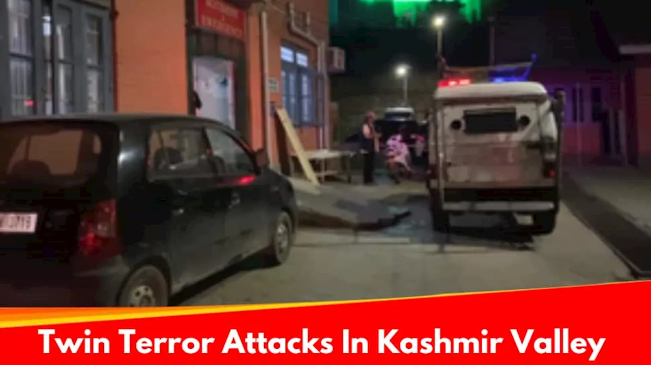 Twin Terror Attacks Hit J&K: Tourist Couple Shot, Ex-Sarpanch Killed Ahead Of Lok Sabha Elections