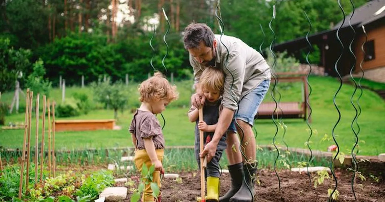 Raus aus dem Garten: 9 Pflanzen sind besonders giftig für Kinder