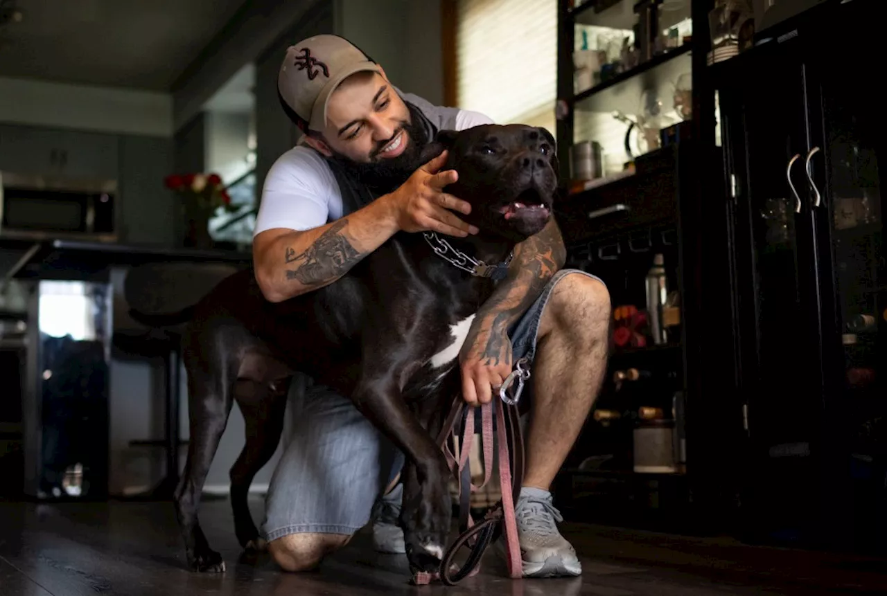 Law enforcement leaders eye therapy dogs as potential boost to officer mental health