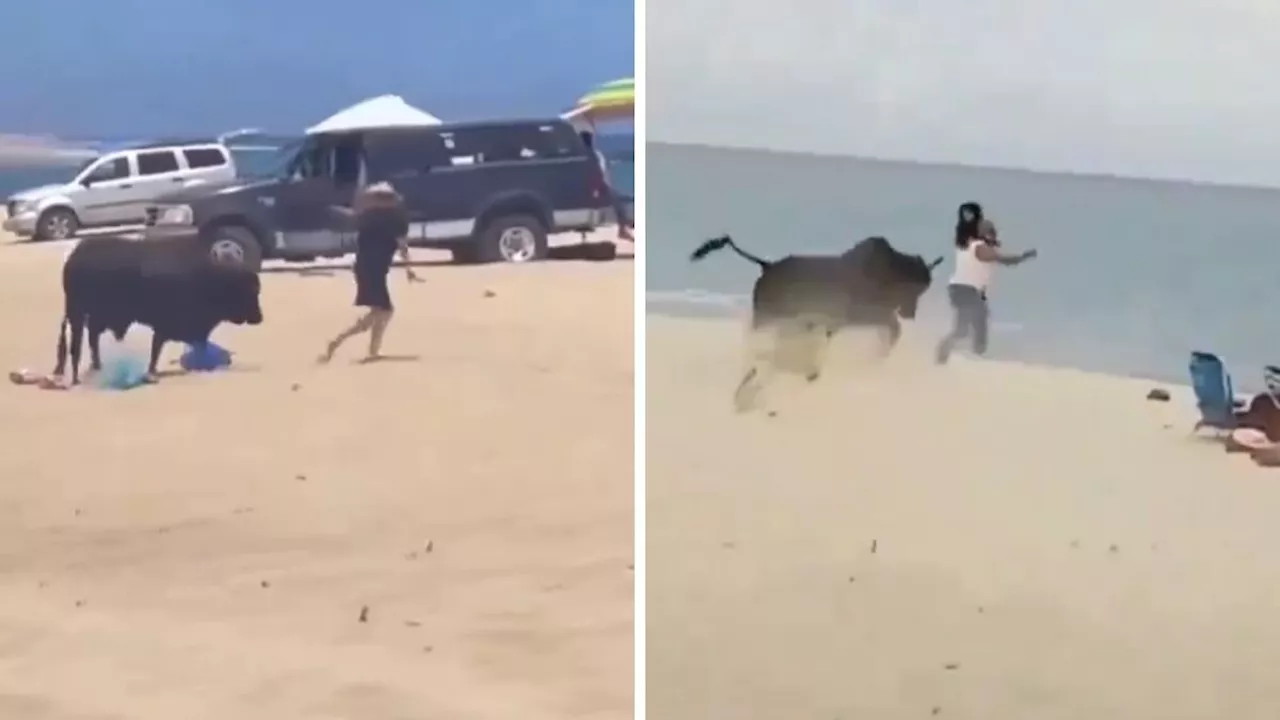 Toro corneó brutalmente a una mujer mientras estaba descansando en la playa