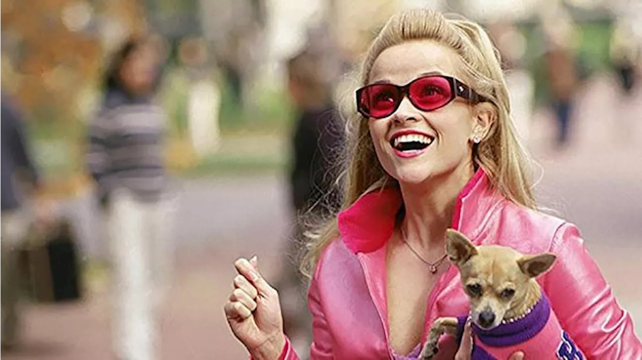 Masa Sekolah Elle Woods Jadi Plot Serial Prekuel Legally Blonde