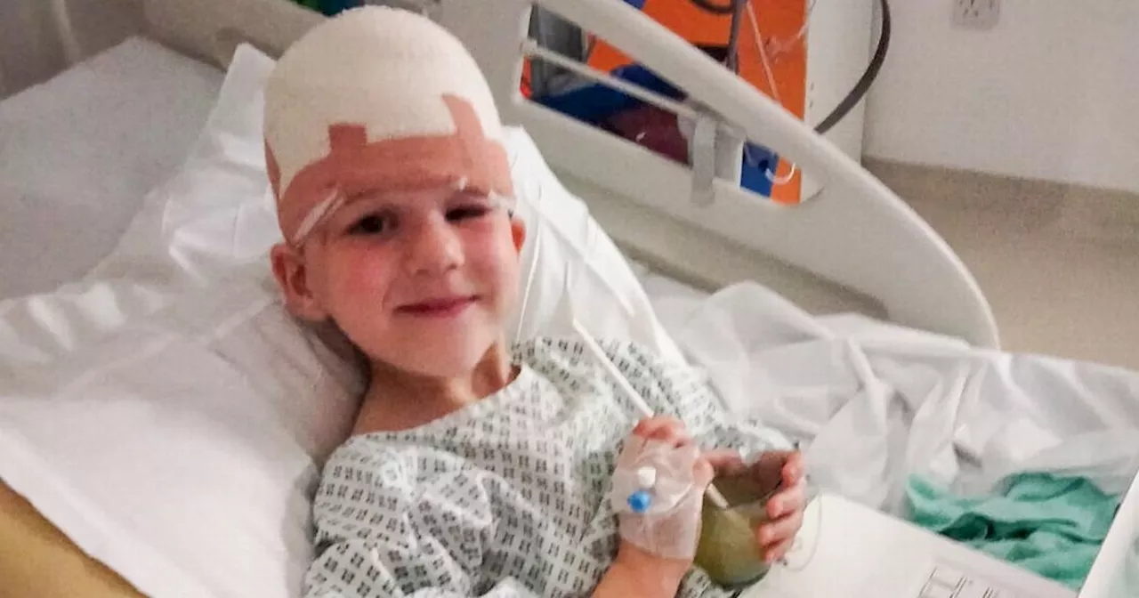 Boy's scalp found on living room floor after savage attack by dog bought online