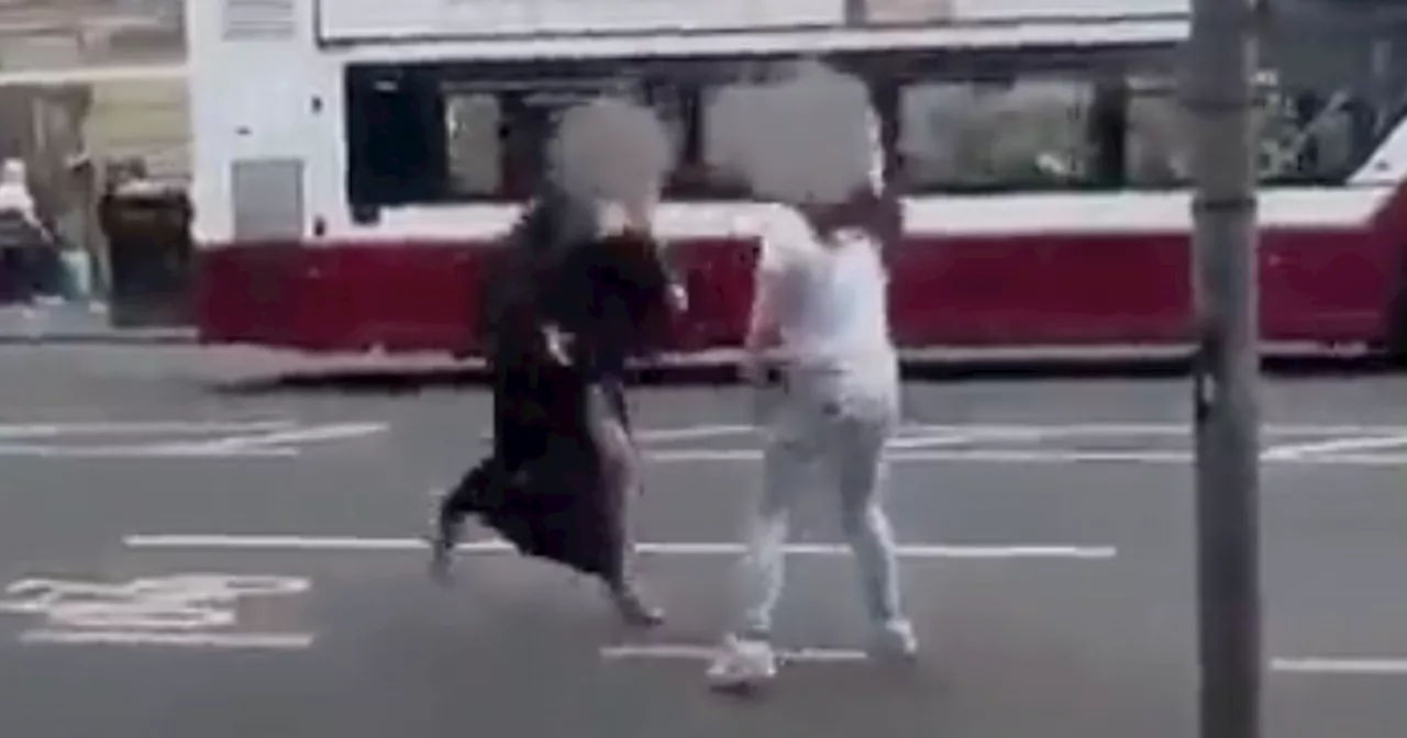 Two women brawl in Princes Street in front of horrified Edinburgh shoppers