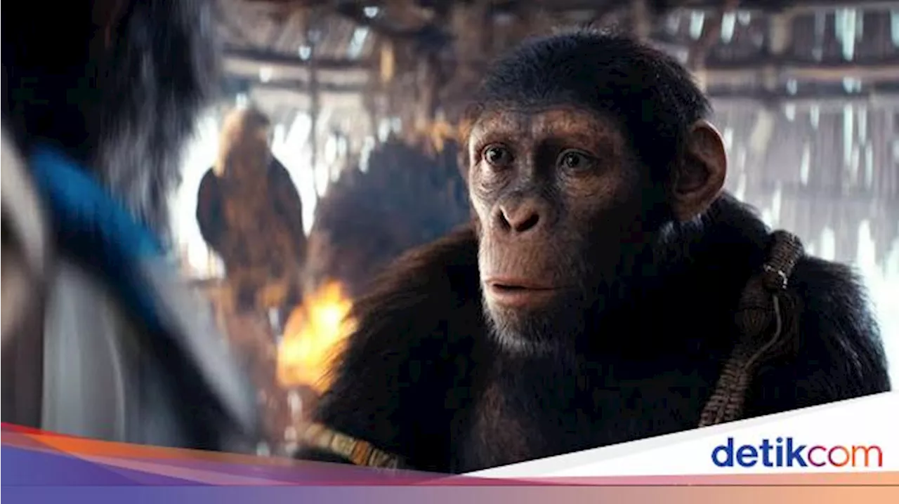 5 Pertanyaan Besar di Kingdom of the Planet of the Apes