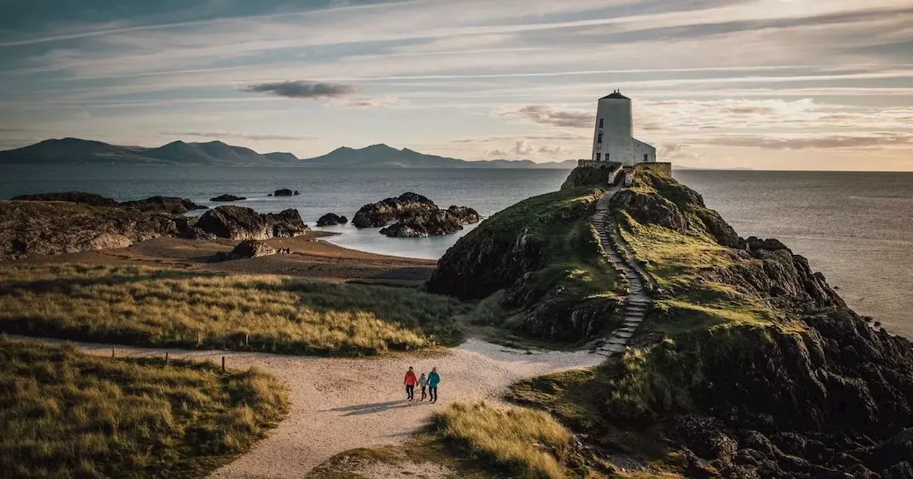 Magical island beach with wild ponies two hours from Liverpool