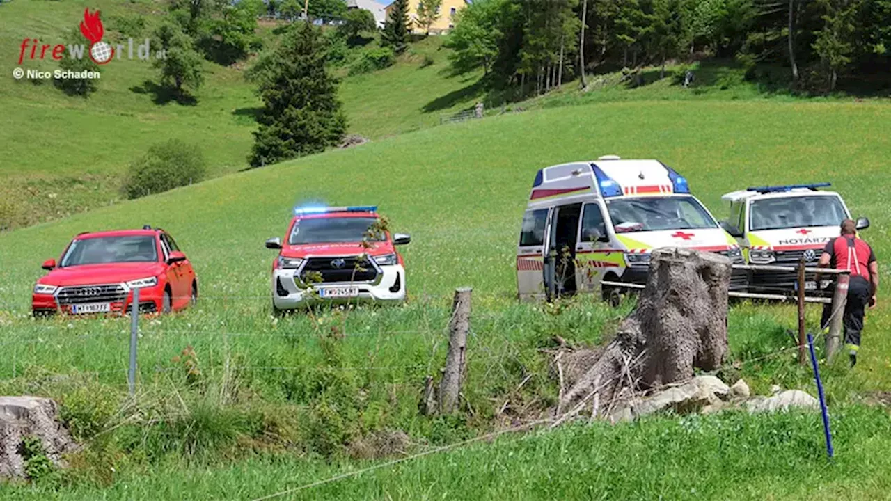 Stmk: 26-Jähriger bei Forstarbeiten in Obdach von Baumstämmen getroffen und tödlich verletzt