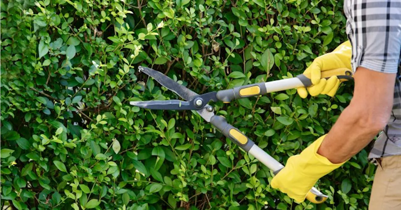 Canadians kick-off gardening season on May long weekend as food prices soar