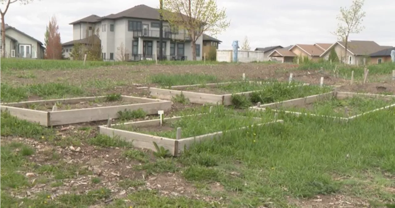 May long weekend marks unofficial start of gardening season