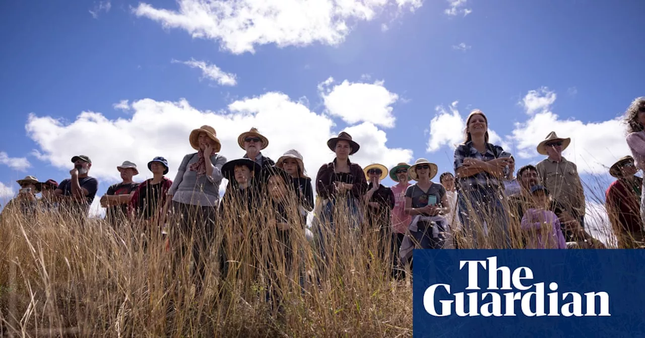 ‘We call it our farm’: meet the Australians swapping supermarket shopping for farm shares