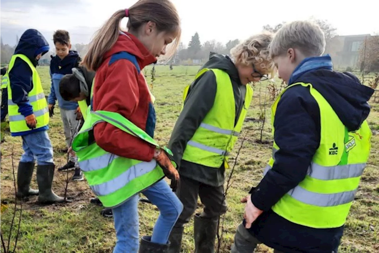 Zilveren label voor meer dan vijf hectare aan nieuw bos in Boechout