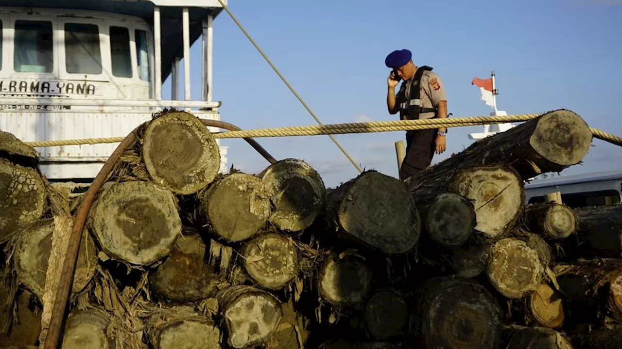 55 Kontainer Kayu Ilegal Dikirim dari Berau, Dua Tersangka Ditahan