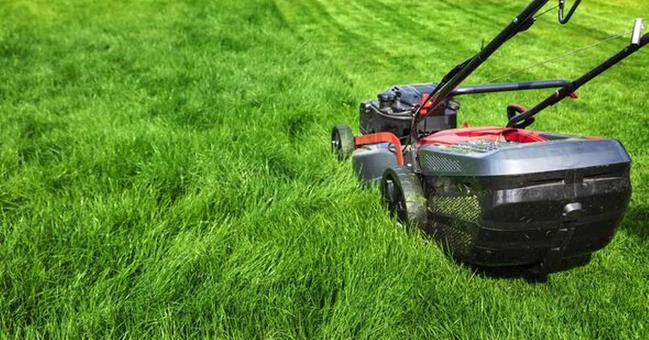 'Worst mistake you can make' when mowing lawn - expert says it's 'disastrous'