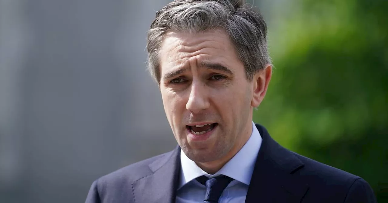 ‘Common sense’ needed on number of asylum seekers entering Ireland, says Harris