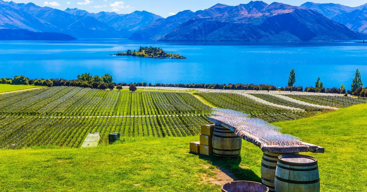 How did Marlborough Sauvignon become a global wine favourite?