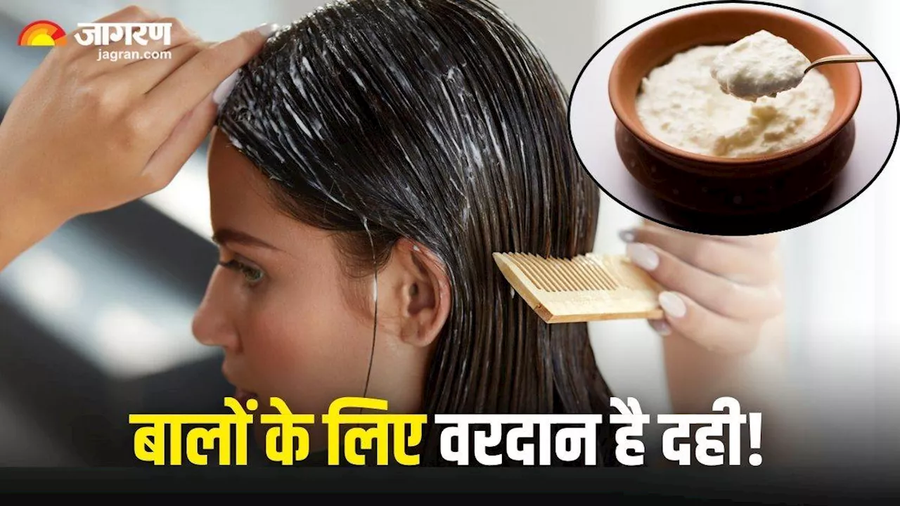 Curd Benefits For Hair: रूखे, बेजान और दोमुंहे बालों के लिए वरदान साबित हो सकता है दही, बस ऐसे करना होगा इस्तेमाल