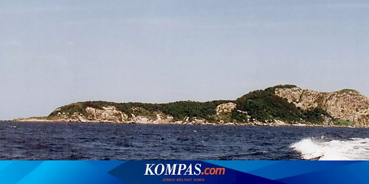 Pulau Ular, Area Berbahaya yang Hanya Bisa Dikunjungi Ilmuwan dan Tentara Brasil