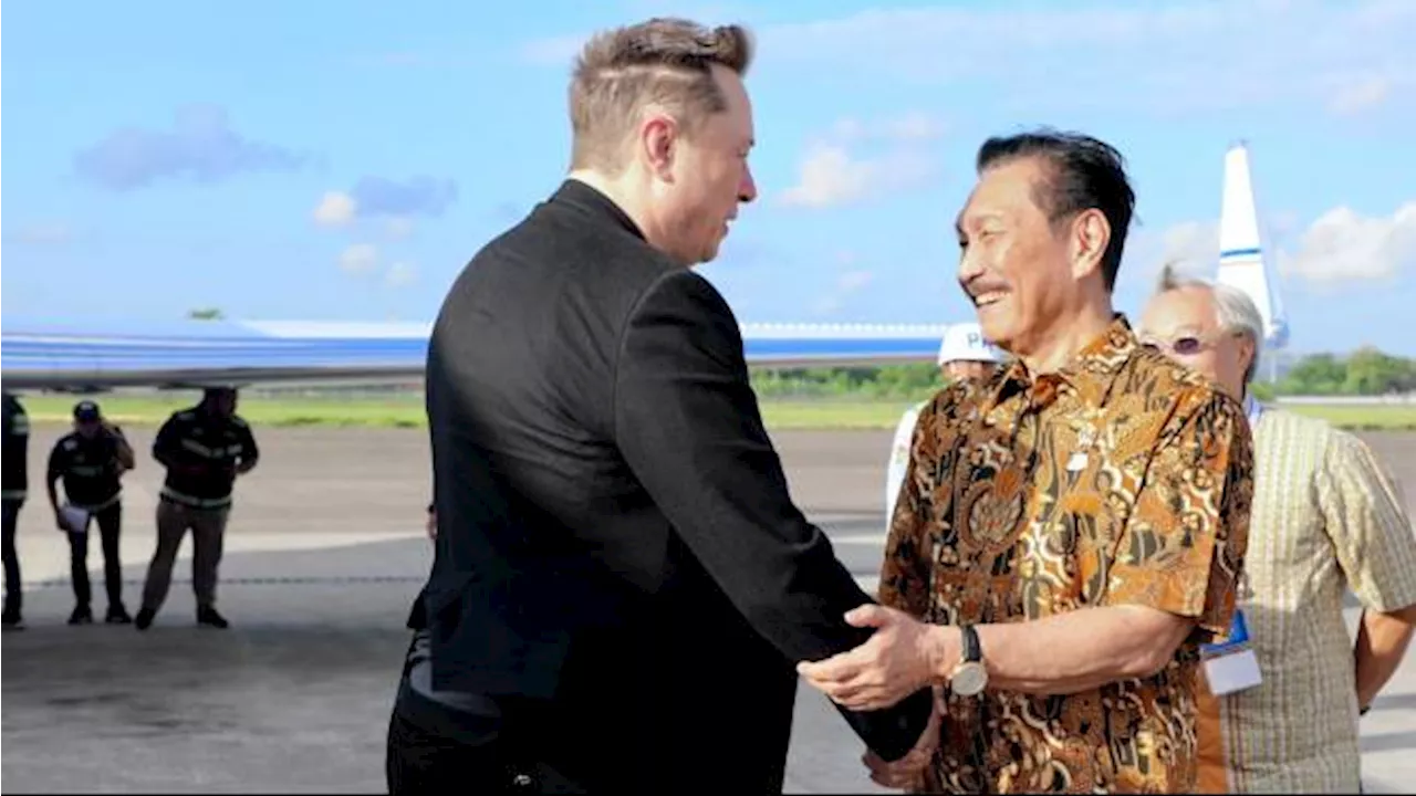 Selain Resmikan Starlink, Luhut Ajak Elon Musk Ikut Rehabilitasi Mangrove di Indonesia