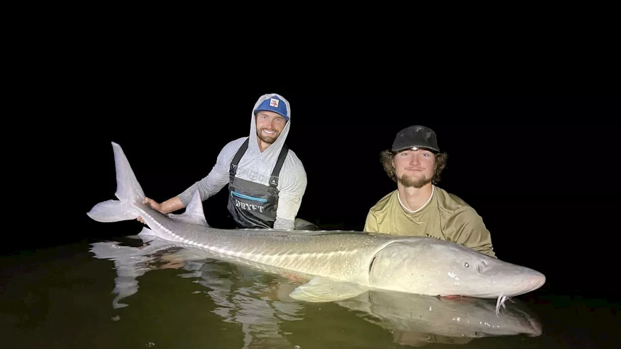 Catching river giants on Idaho's Snake River