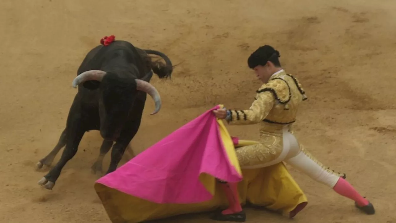 Feria del toro : des novilleros à la peine dans les arènes de Vic-Fezensac face à d’excellents Raso de Portill