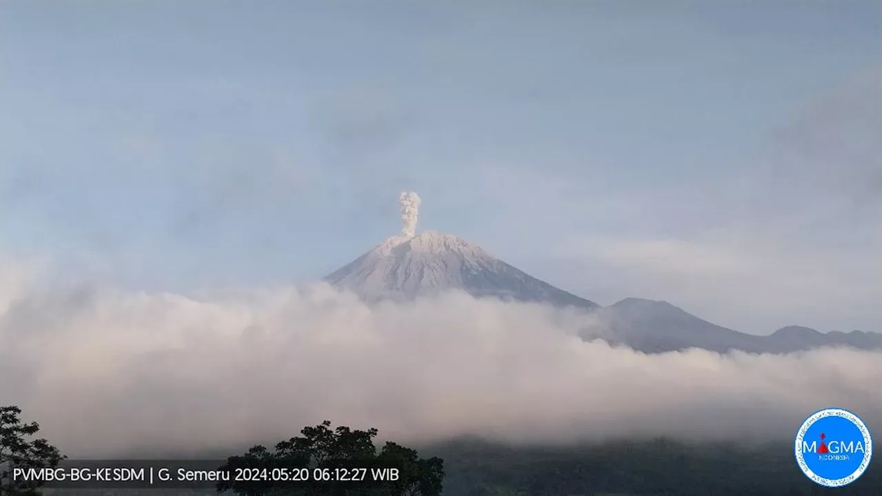 Gunung Semeru Erupsi Senin Pagi 20 Mei 2024, Semburkan Abu Vulkanik 800 Meter ke Arah Barat Laut