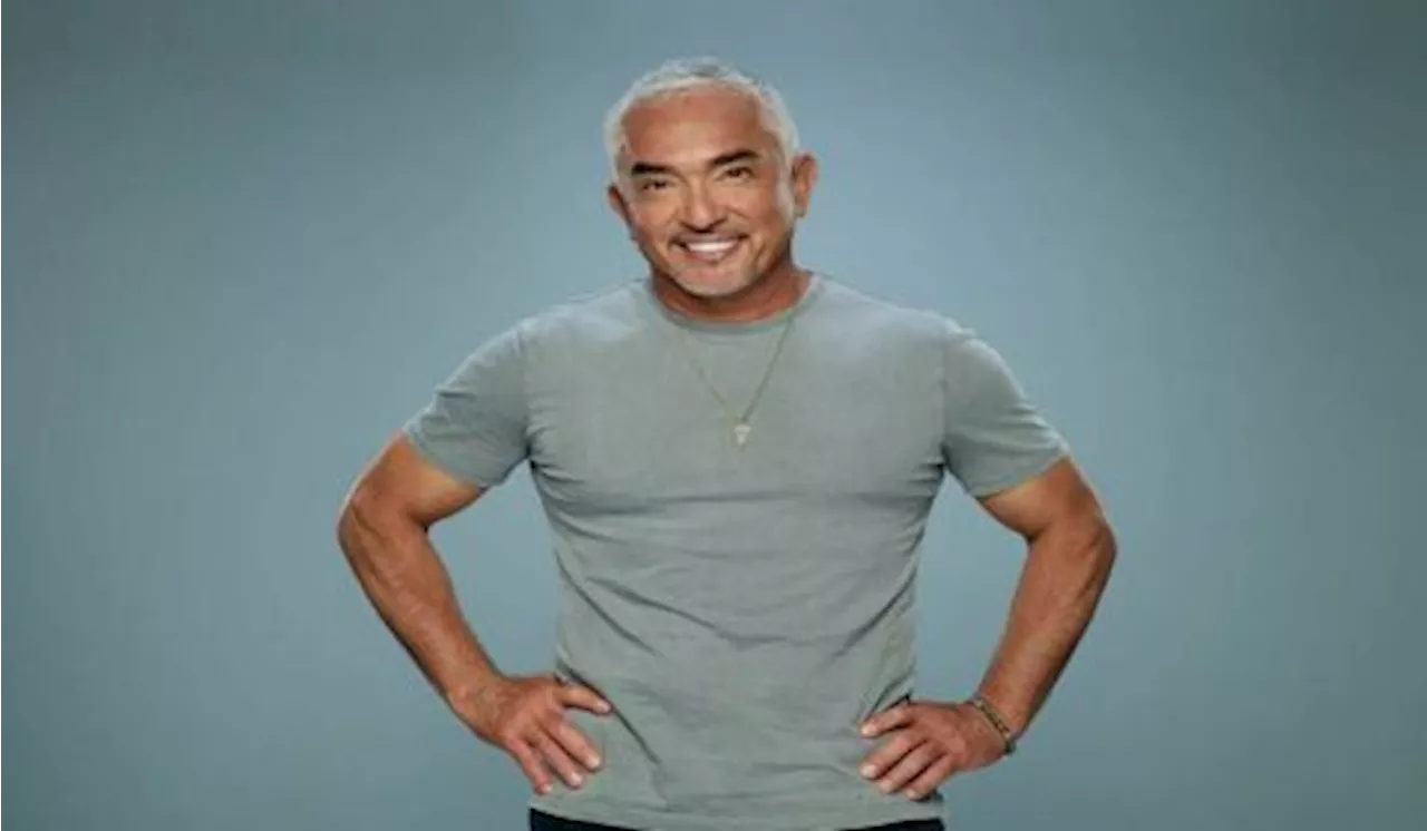 Dog Whisperer Cesar Milan akan Hadir di Indonesia