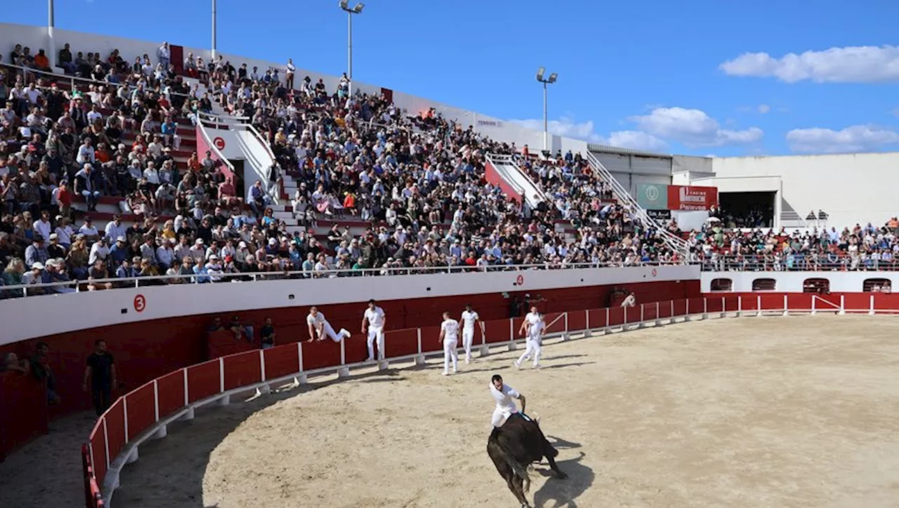 Après son abandon en 2017, Palavas-les-Flots peut-elle voir revenir les corridas dans ses arènes ?