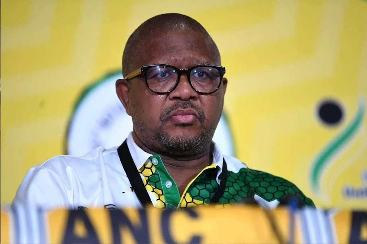 Elections 2024: Zuma left the ANC 'in a mess', Mbalula tells supporters in Eastern Cape