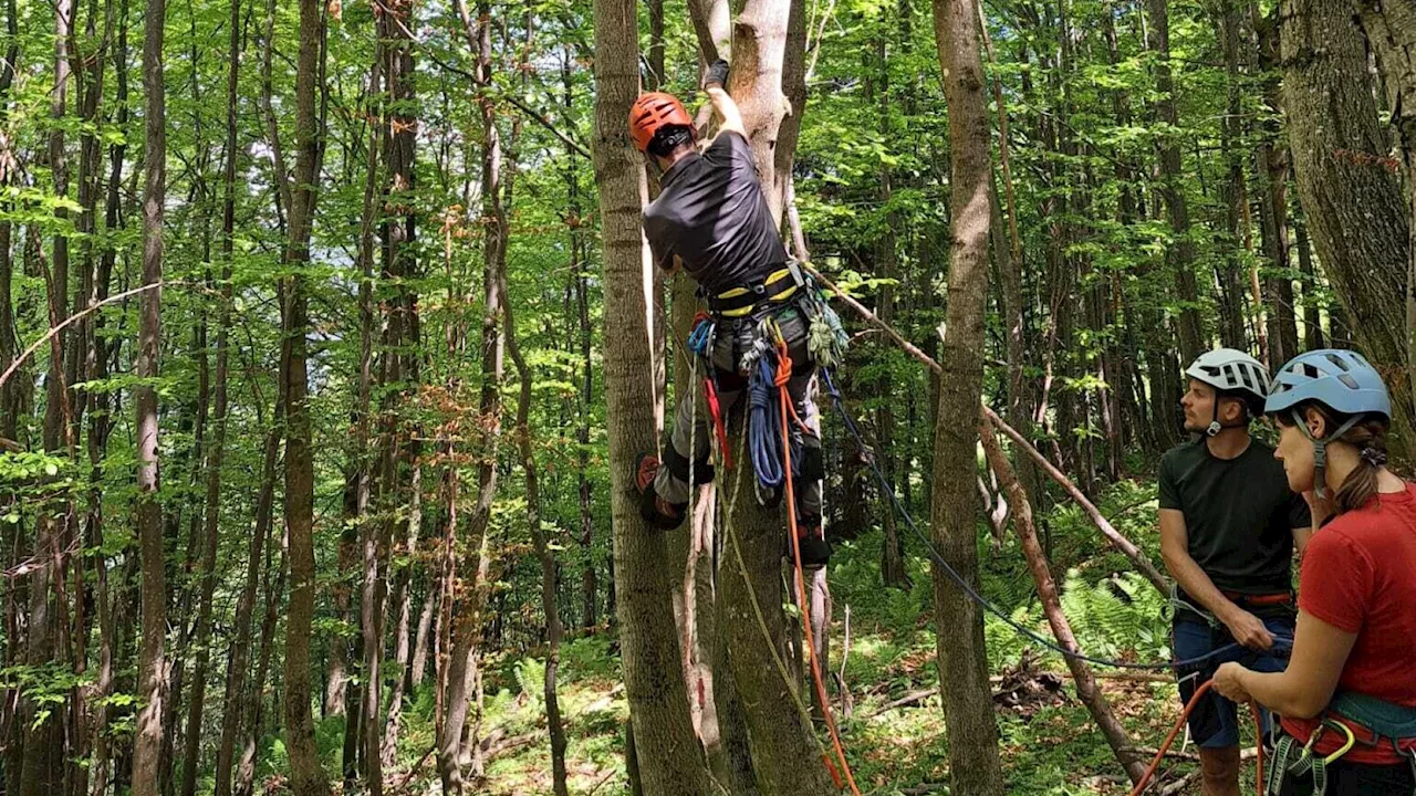 Paragleiter Bergung: Bergretter retteten Gleitschirmflieger