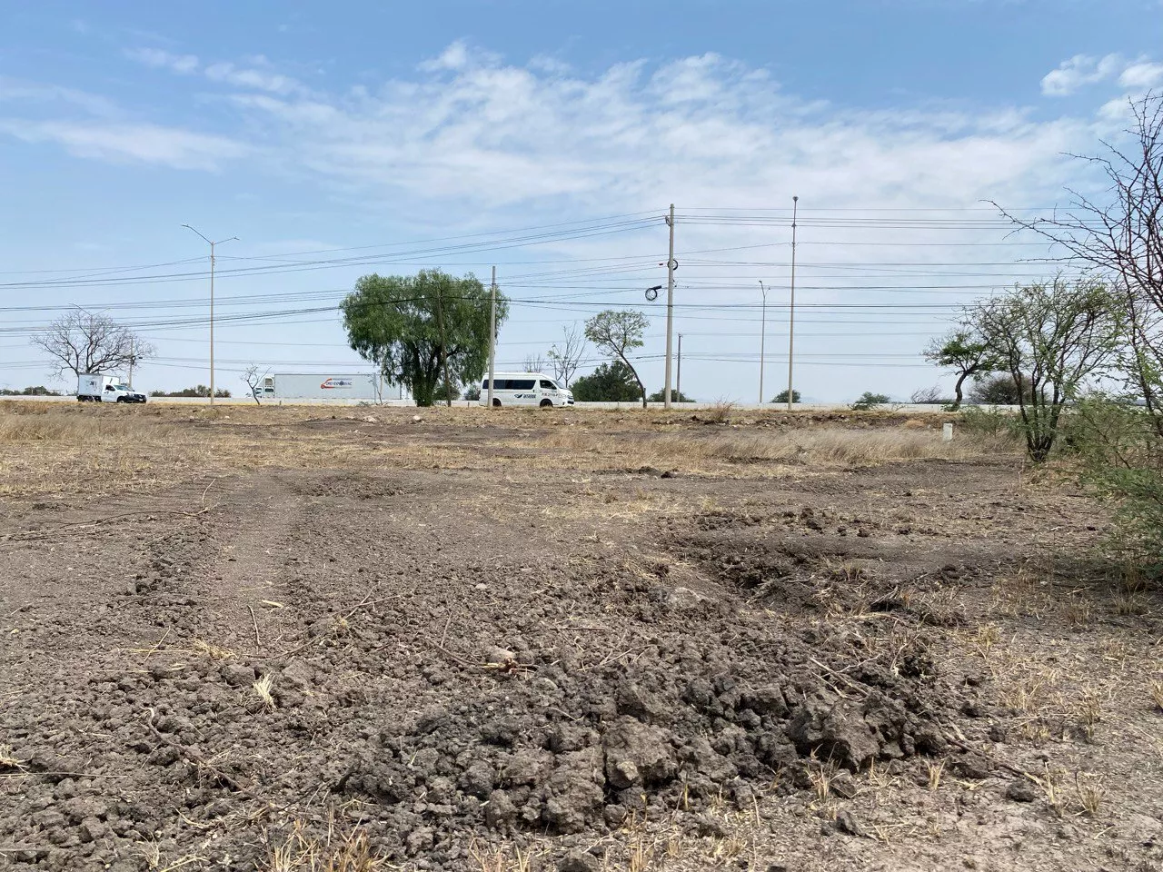 Acaban con árboles protegidos en carretera Silao-Guanajuato sin autorización