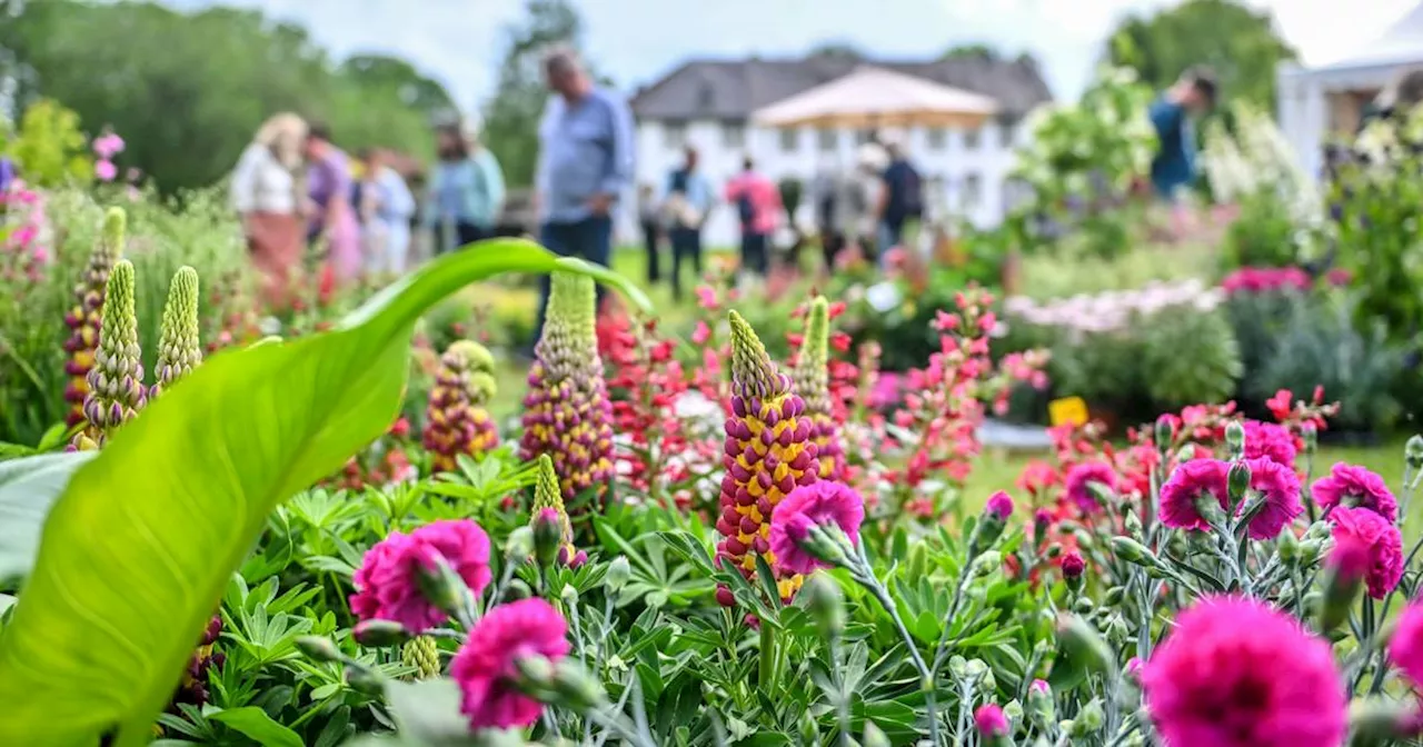 Grefrath: Messe 'Gartenleben' über Pfingsten im Freilichtmuseum