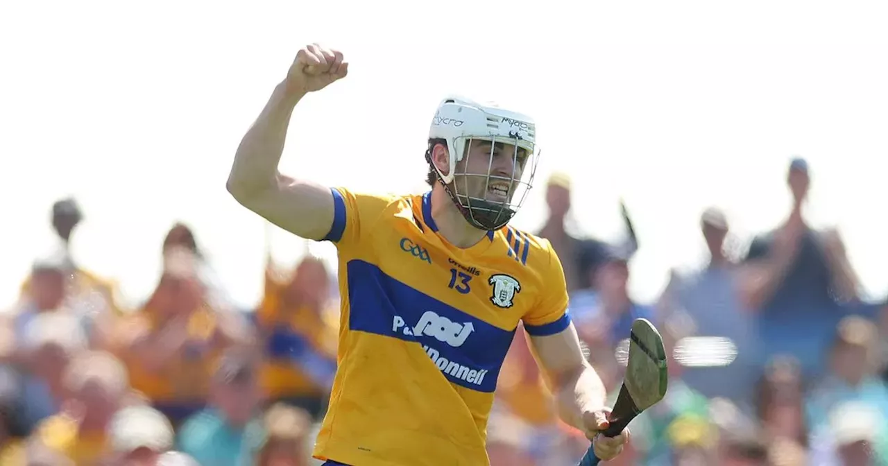 Clare's Aidan McCarthy appeared on big RTE show before becoming top hurler