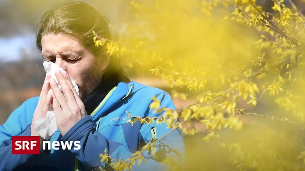 Pollenallergie: Klimawandel gibt Heuschnupfen Auftrieb