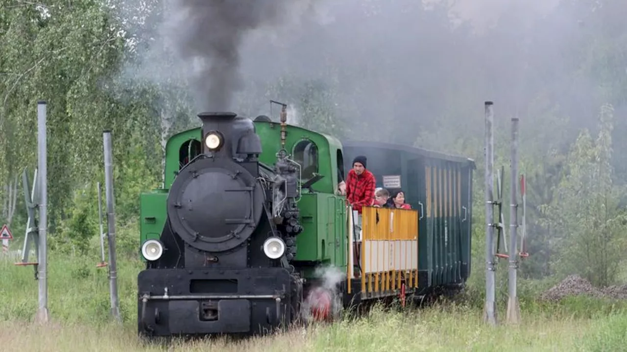 Bahn: Dampflok 'Wilde Hilde' neue Attraktion in Meusewitz