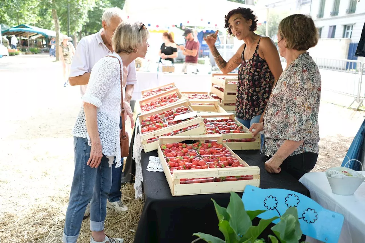 Marmande : pas de confréries pour la Fête des fleurs et des saveurs, un raté dans l’organisation ?