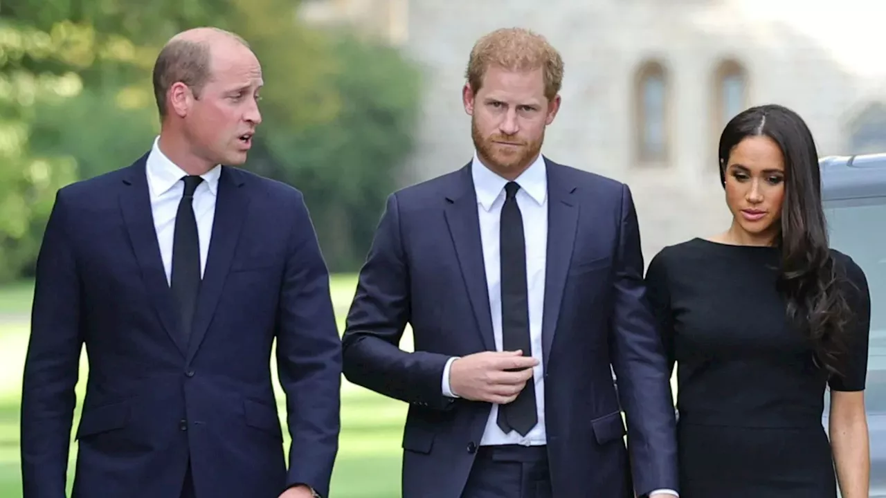 I know why Prince Harry and William’s explosive feud is here to stay – it’s so obvious, reveals royal exper...