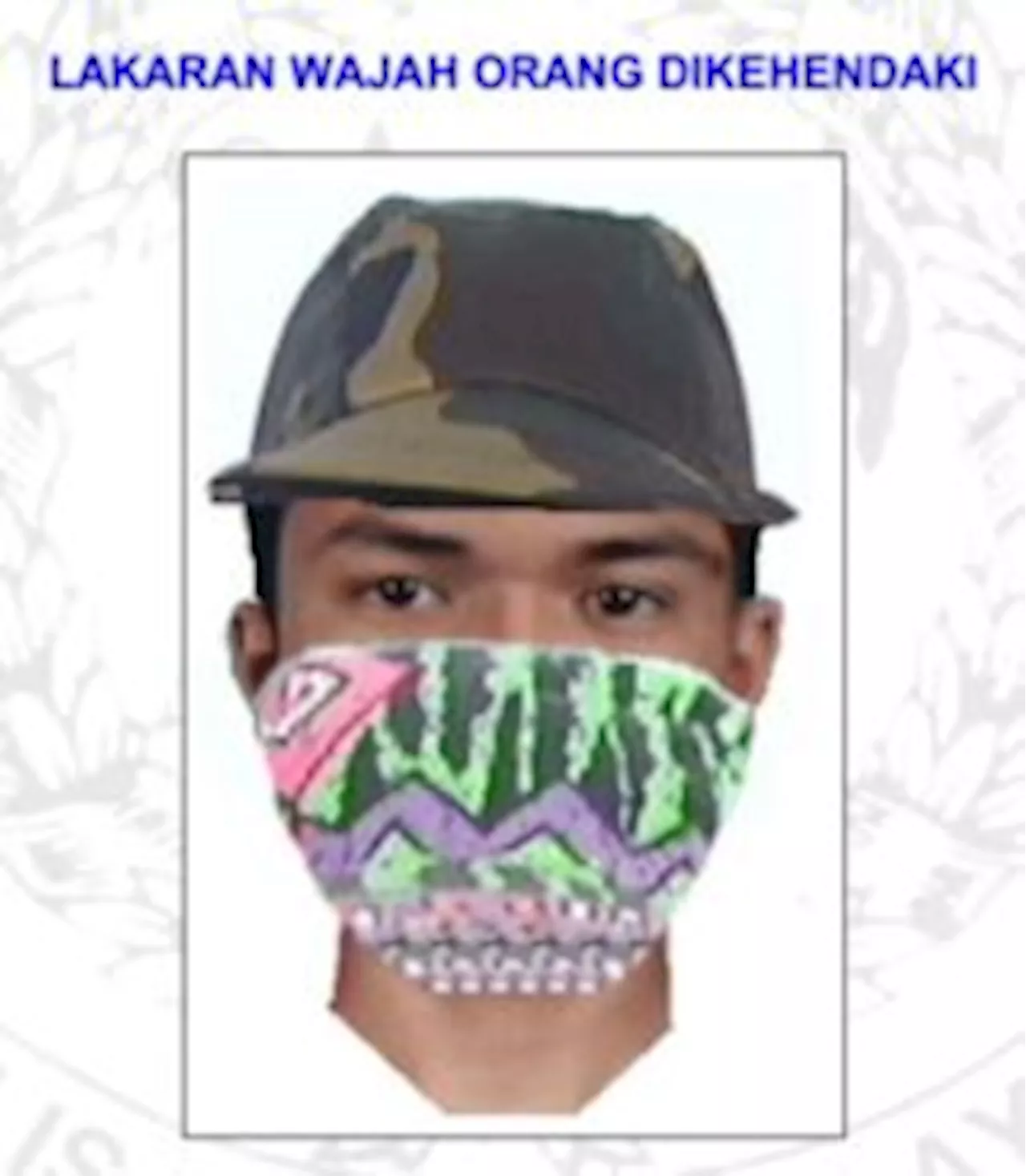 Polis dedah lakaran fotofit suspek kes simbah asid Faisal Halim