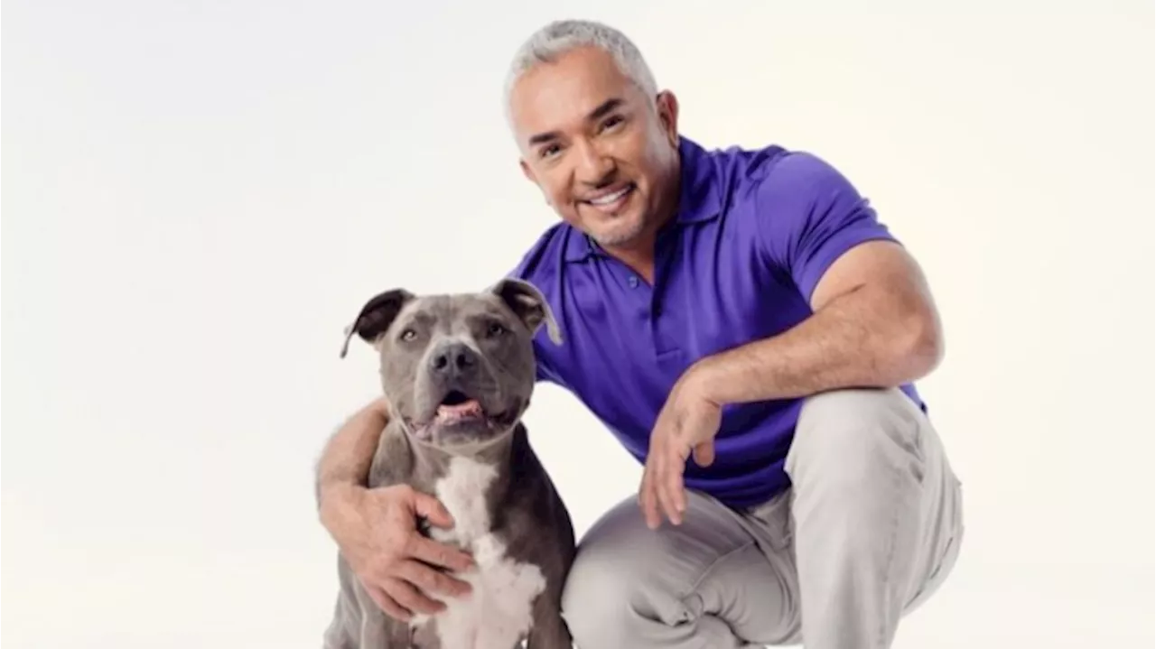 Cesar Millan Akan Ramaikan Pet Fest Indonesia 2024 di ICE BSD